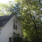 Remember to Trim the Trees When You are Rehabbing a House, here's why.