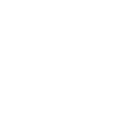 the number 1