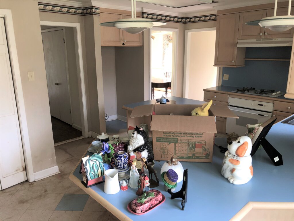 We buy houses in Baton Rouge. A rundown Baton Rouge home with overgrown weeds, peeling paint, and broken windows, in need of major repairs before renovation.