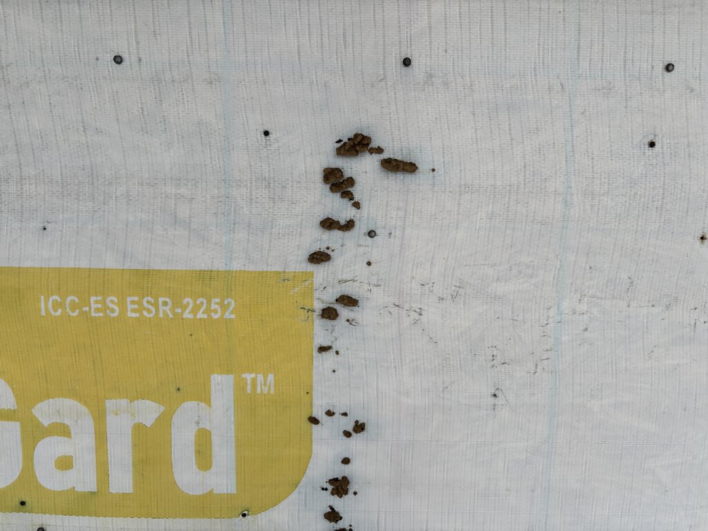 Front of a house with sections of missing vinyl siding, exposing termite-damaged wood underneath.
