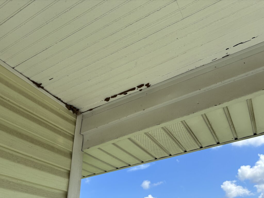 Termite mud tubes visible where the ceiling meets the wall, indicating active infestation in the home’s interior structure.