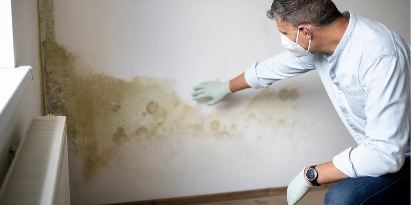 How to Sell a House With Mold in Maryland