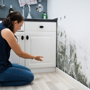 Sell a House With Mold in Maryland
