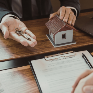 How to Successfully Sell a Termite-Infested House In Baltimore