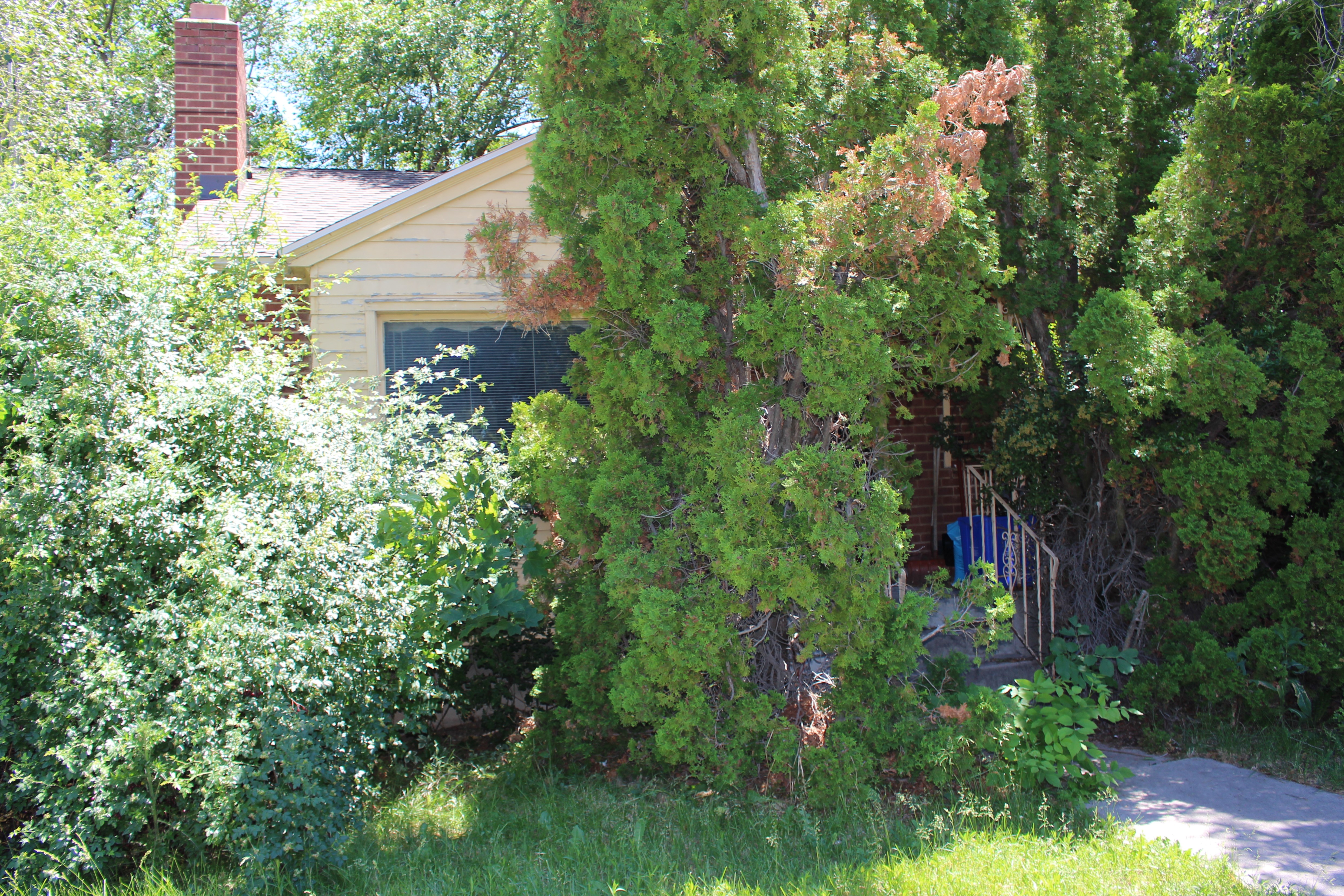 I-inherited-a house