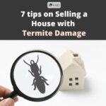 7 Valuable Tips on Selling a House with Termite Damage in Utah