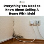 mold in the corner of a room selling a house with mold