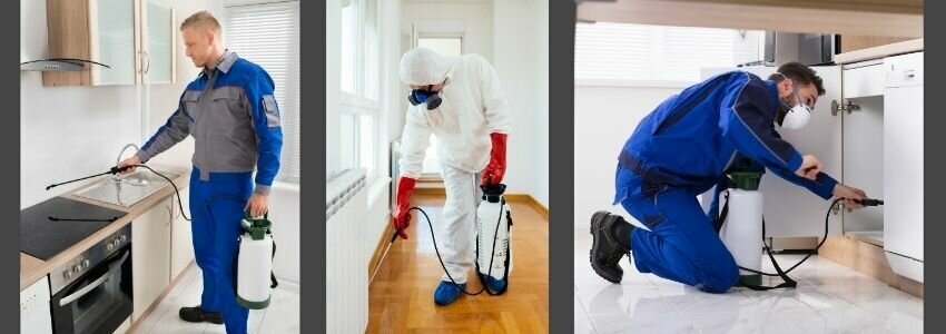 Getting Rid of Cockroaches in Your House by man spraying liquid around