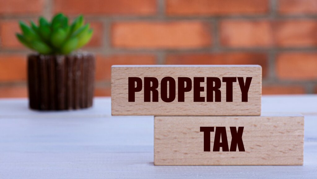PROPERTY TAX the words on cubes against the background of a brick wall with a cactus. Business and finance