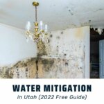 Water Mitigation in Utah (2022 Free Guide)