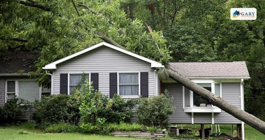 A picture of a tree that fell on a house