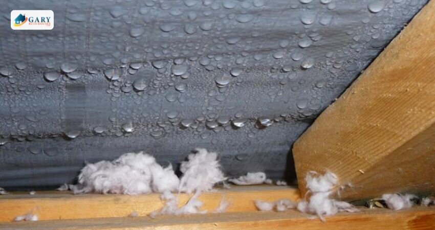 Attic condensation buildup