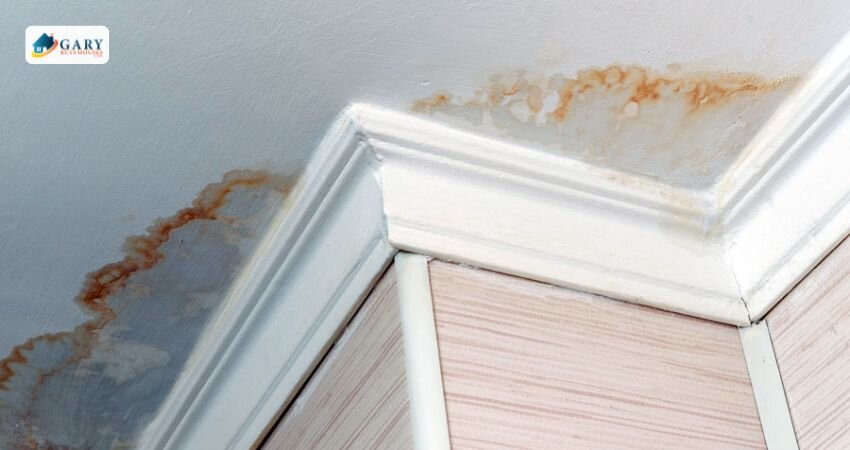 Signs of water damage or a leak in the attic