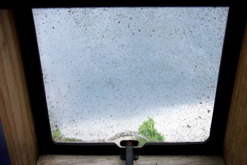An old window that has water leaking in.