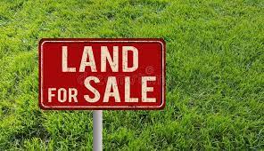 a for sale sign in a lot of grass representing land for sale