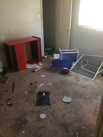 Dog-House-Bedroom