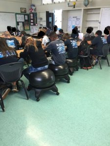 charity-hawaii-balance-balls