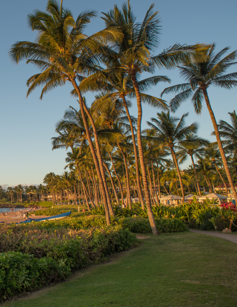 how to sell your vacant land Hawaii