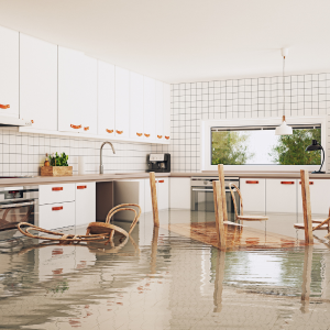 Sell My Water Damaged House In Hawaii