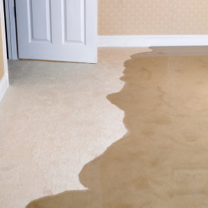 Sell Your Water Damaged House In Hawaii