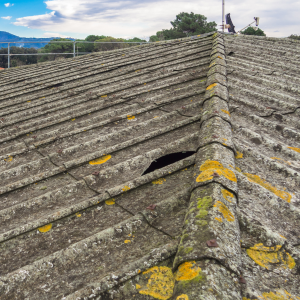 Can You Sell a House With Asbestos In Hawaii