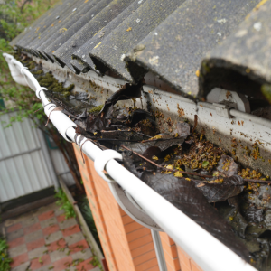 Sell Your House With Asbestos In Hawaii