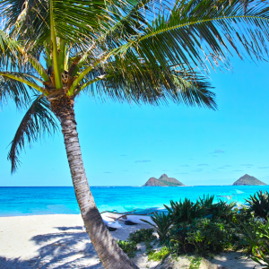 Is Hawaii a Comfortable Place to Live In Hawaii
