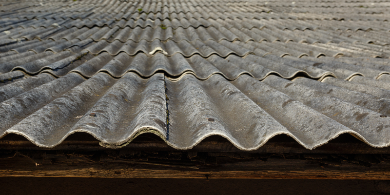 Asbestos Removal Cost in [market_city]