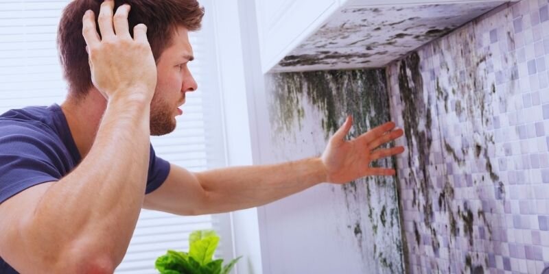 Sell Your House With Mold in Hawaii