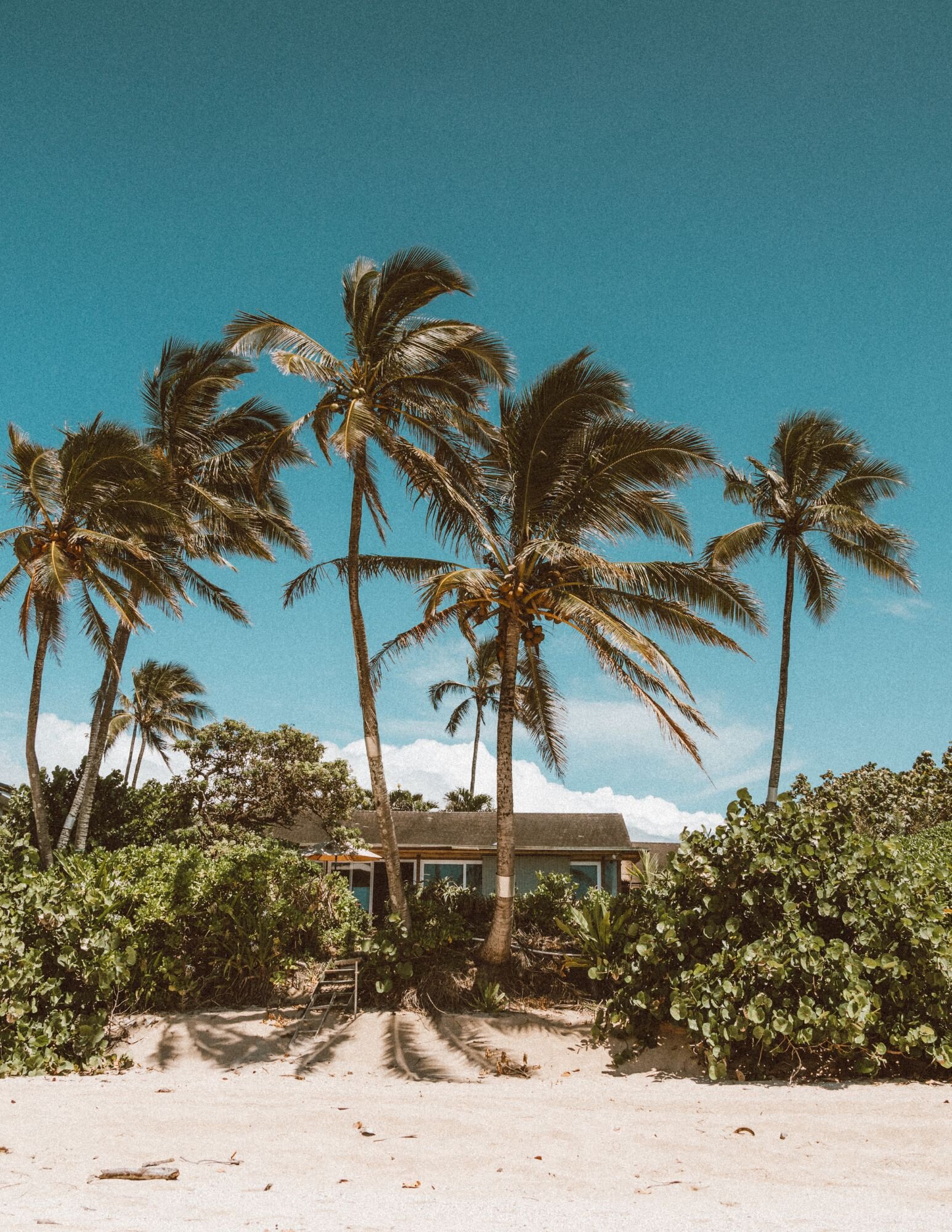 We Pay Cash For Houses Waipahu