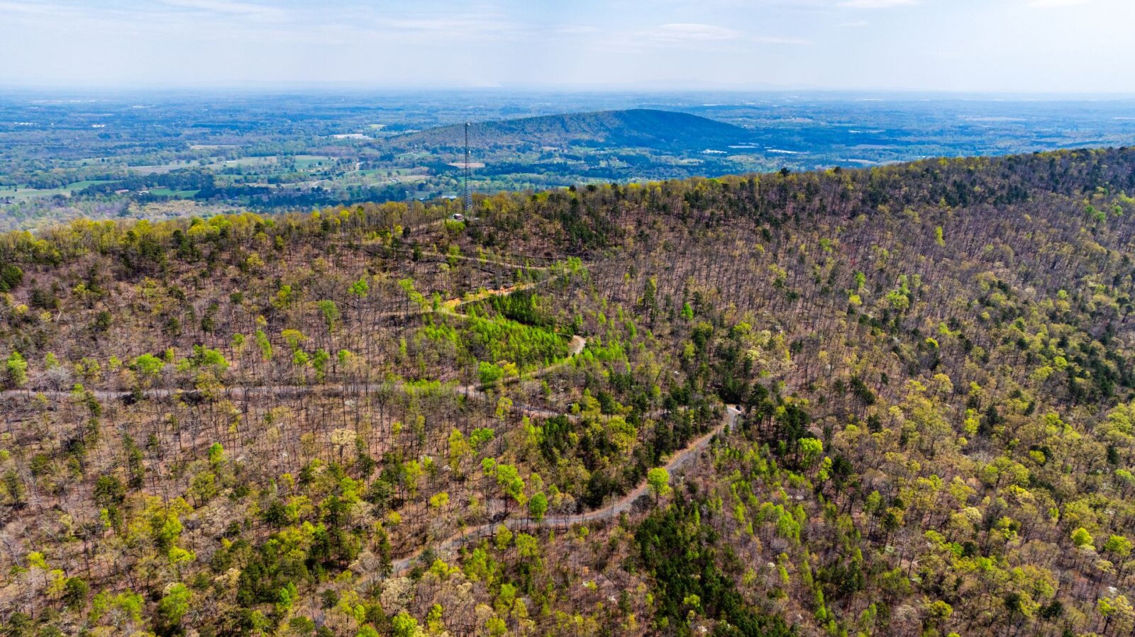 23.29 Acres in Floyd County Owner Financing available