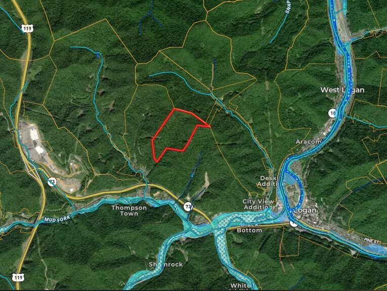 100 Unrestricted Acres in Logan County West Virginia with Owner