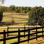 Effective Strategies for Selling Land in Sacramento