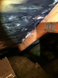 Attic mold