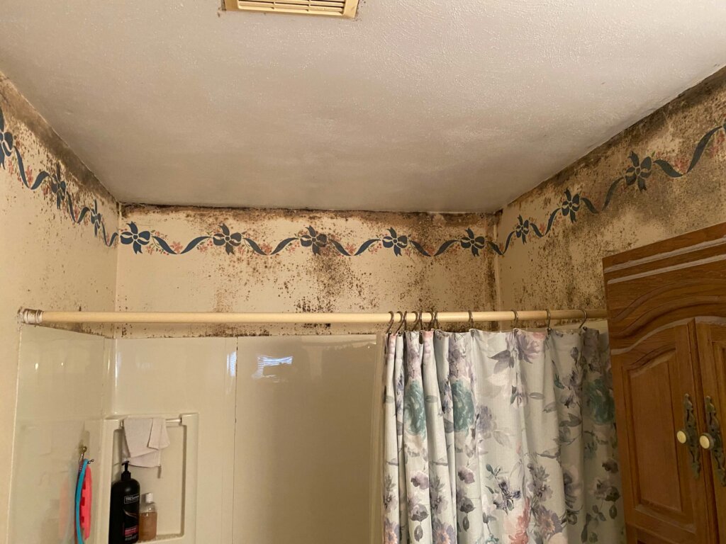 Madison house interior bathroom