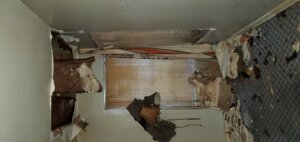 we are the local we buy houses san antonio Texas - south texas home investors