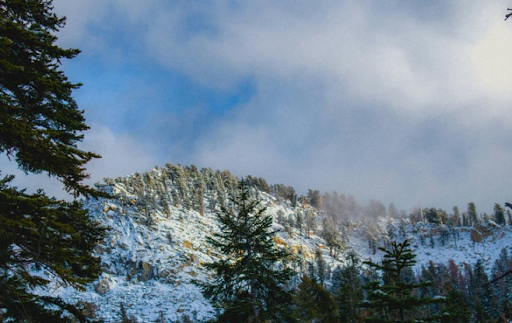  Best & Worst Time To Sell a House