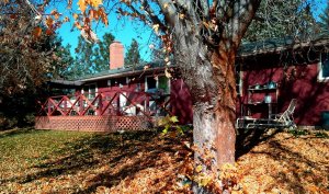 is november a good time to sell a house