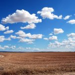 Before Buying Land - soil report