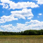 Ways to Buy Investment Land with Little or No Money Down
