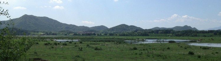 Reasons Why You Should Be Investing in Land