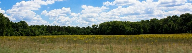 Ways to Buy Cheap Land