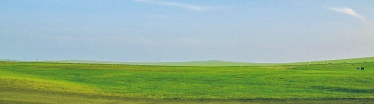 buying land with no money
