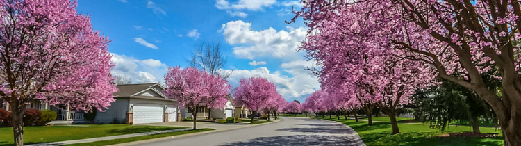 Ways Wholesalers Can Find Motivated Sellers in Edmonton