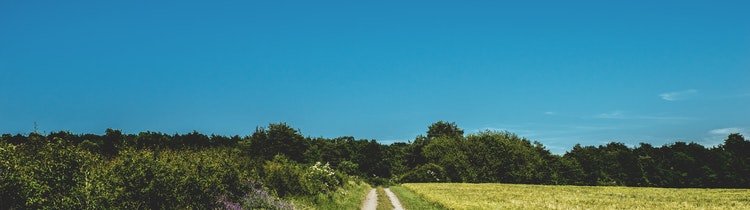 Pros of Buying Vacant Land for Sale By Owner in Utah