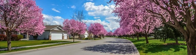 Reasons to Buy a Home in Downey in the Spring
