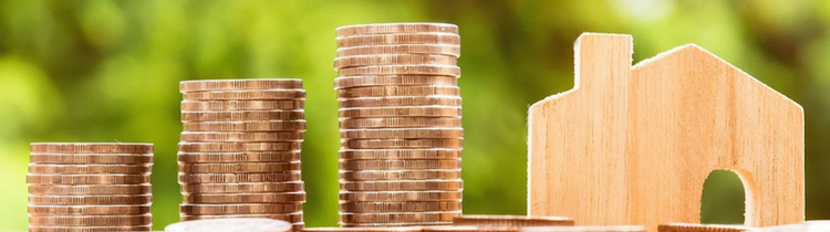 Real Estate Investment