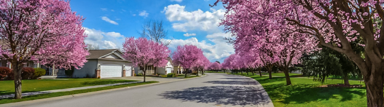 How To Showcase Your Neighborhood When Selling Your House in Garner!