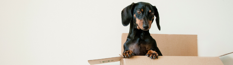 5 Ways To Make Your Move Less Stressful In Martinsburg, Hagerstown, Frederick & Charles Town  