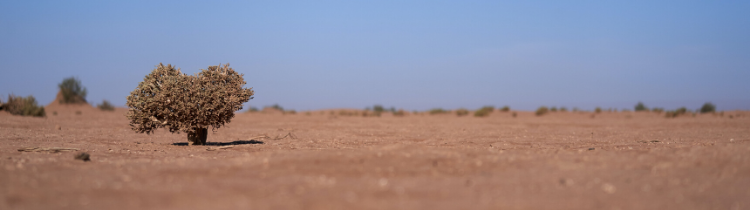 Why Right Now Is The Time To Sell Your Land In San Antonio! 